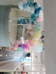 -BabyMonster小怪兽亲子派对·餐厅乐园(金月湾店)