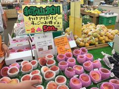 -黑潮市场