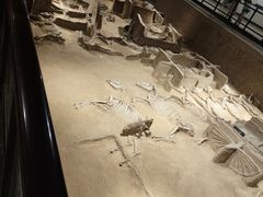 -洛阳周王城天子驾六博物馆