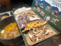 -芸山季·云南山珍菌火锅(人民广场来福士店)