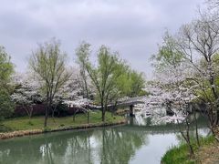 -西溪国家湿地公园