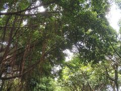 -南宁南湖公园