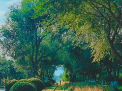 -永定河休闲森林公园