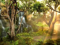 -Chom Cafe and Restaurant