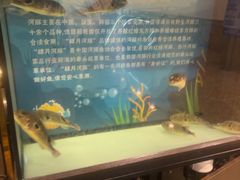 -肆月河豚·淮扬菜·湘菜(华天店)