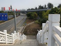 -宝安西湾红树林湿地公园