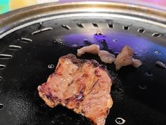 -杨小佳·齐齐哈尔烤肉·烤串(广州店)