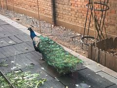 -春记潮汕牛肉火锅