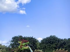 -沈阳植物园