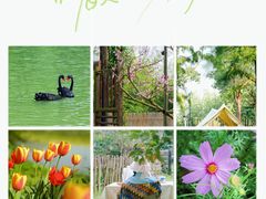 -乌村