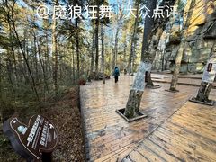 -汤旺河林海奇石景区