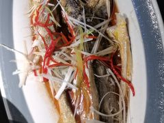 -前海沿·青岛菜(大拇指广场石老人店)