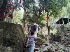 -莫干山风景区