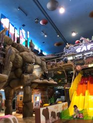 -卡通尼·Safari非洲探索乐园·生日会(金桥国际商业广场店)
