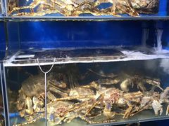 -蚝专家(北滘店)