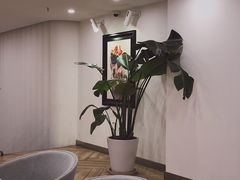 -PETIT PARIS 小巴黎(凯德1818店)