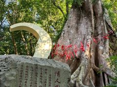 -七仙岭温泉国家森林公园