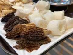 -蘑统田下·野生菌火锅