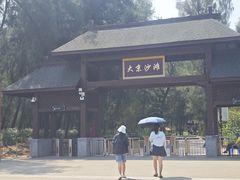 -大京沙滩