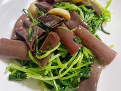 -南山酒肆(南山董事绘店)