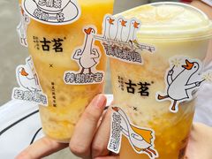 -古茗(番禺厦滘店)