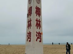 -东郊椰林