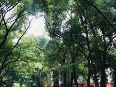 -四川大学(望江校区)