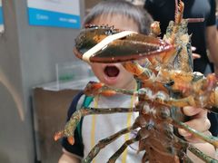 -盒马鲜生(皇庭广场店)