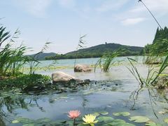 -渤公岛生态公园