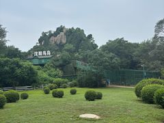 -沈阳鸟岛