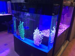 -大自然花鸟鱼虫市场