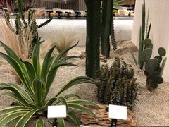 -OUR Bakery(SKP-S店)