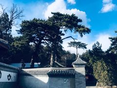 -阳台山自然风景区