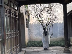 -乌镇景区