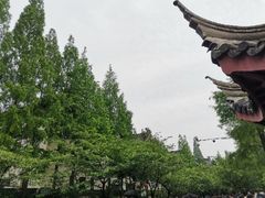 -鸡鸣赐茶(鸡鸣寺路店)