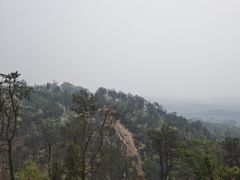 -青龙山国家森林公园