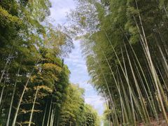-良渚古城遗址公园