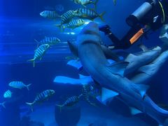 -太平洋海底世界