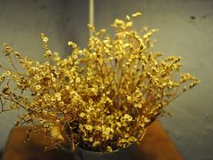 -Babycat私家御饼屋(龙头路一店)