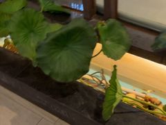 -客家班·客家菜(嘉禾金铂店)