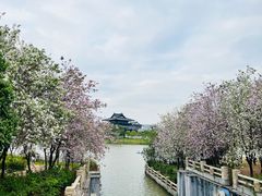 -海珠湖公园