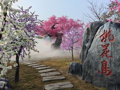-靖西鹅泉风景区