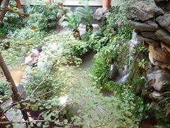 android_upload_pic-钦善斋(武侯祠店)