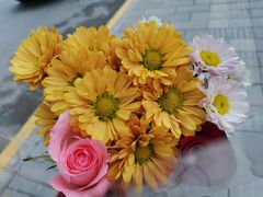 -循礼门鲜花花市(武汉循礼门店)