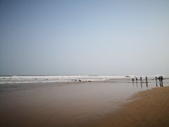 -前王院•巧克力海鲜市集餐厅(万平口店)