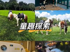 -青岛鑫江温德姆酒店