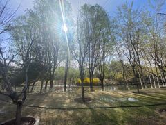 -大望京公园