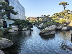 -罗红摄影艺术馆