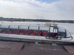 -南大港湿地风景区