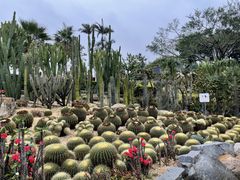 -胡里山炮台